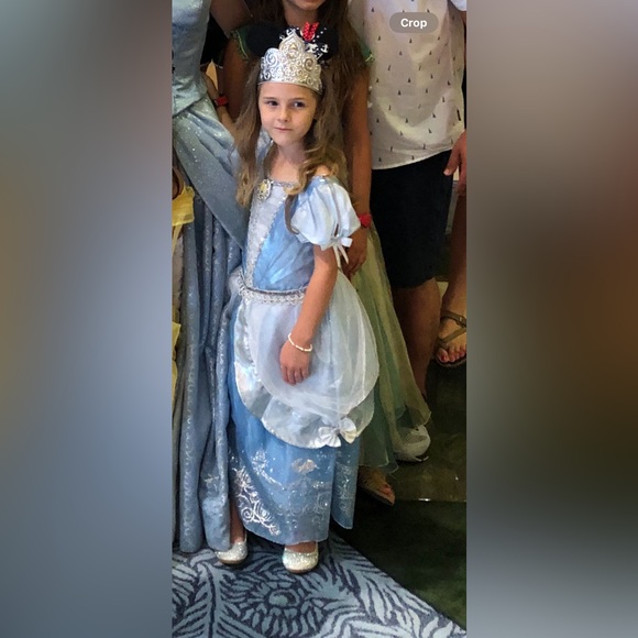 Cinderella Dress - Picture 7 of 7